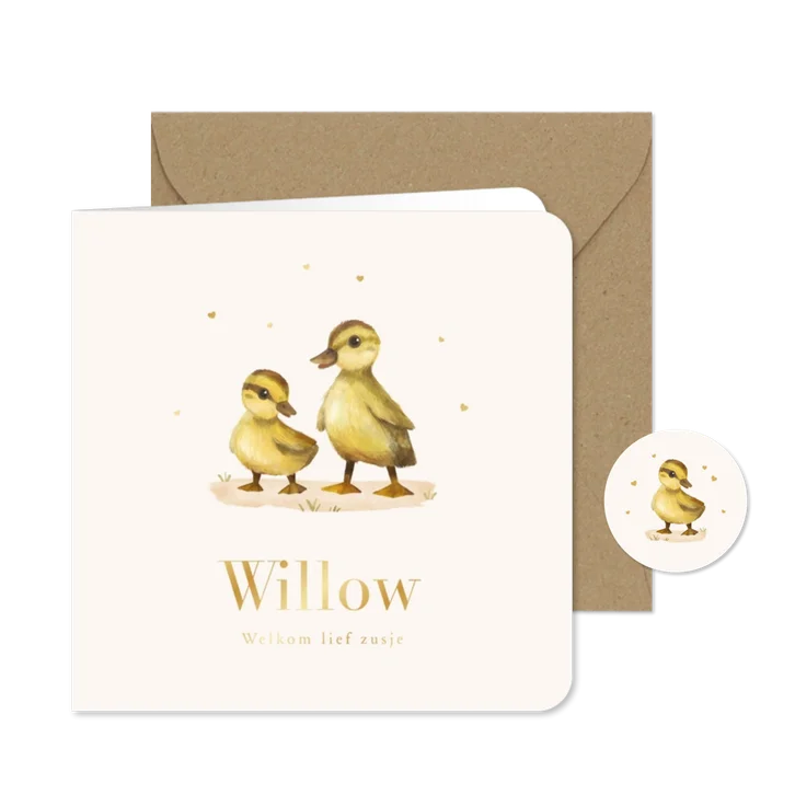 Geboortekaartje eendjes schattig broertje zusje hartjes