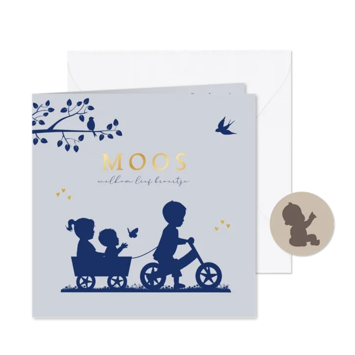Geboortekaartje fietsje met kar en broertje zusje en baby 