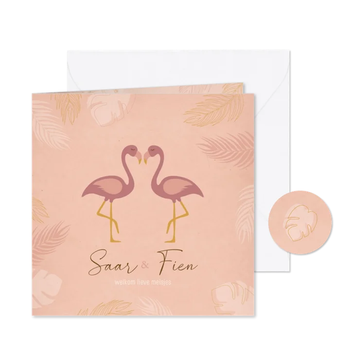 Geboortekaartje flamingo's tweeling