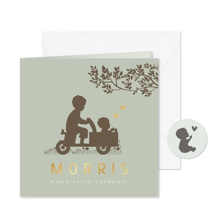 Geboortekaartje houten bakfiets met broertjes