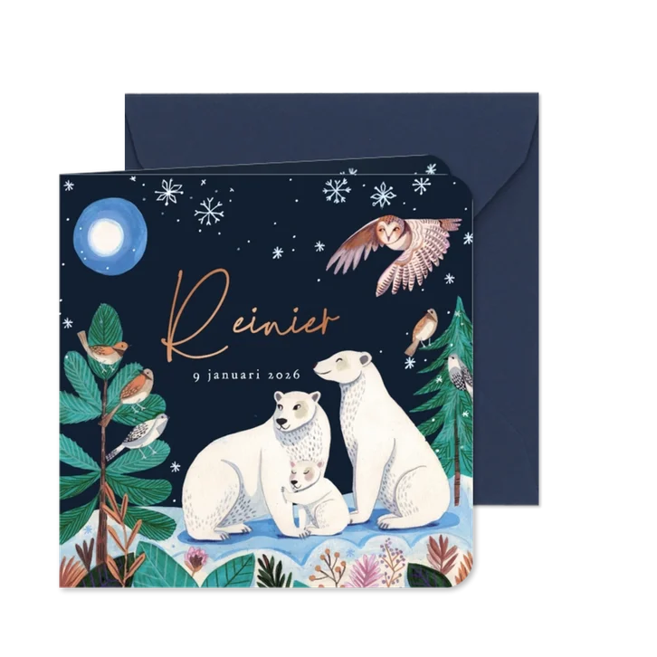 Geboortekaartje ijsbeer familie onder de maan en sneeuw