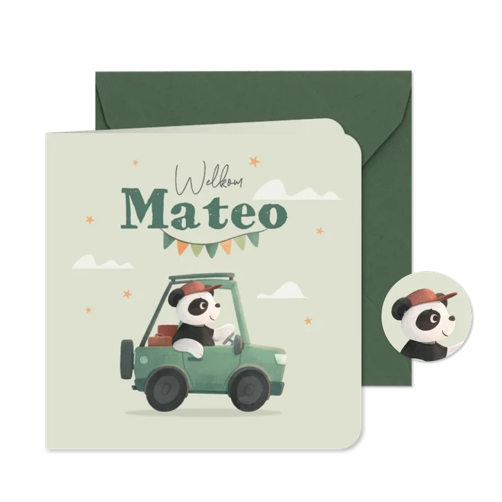 Geboortekaartje jongen panda auto wolken sterren feest
