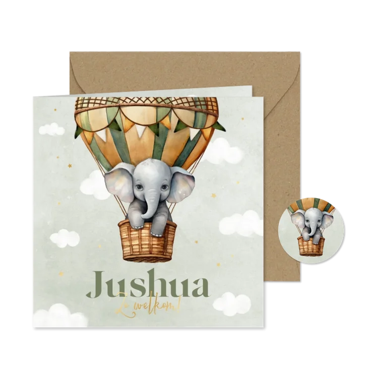Geboortekaartje jongen vintage luchtballon olifantje lief