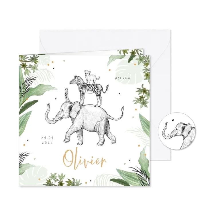 Geboortekaartje jungle dieren olifant leeuw confetti jongen