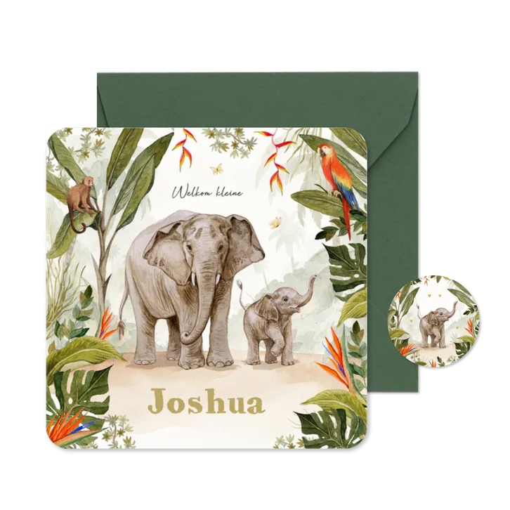 Geboortekaartje jungle olifanten baby schattig unisex
