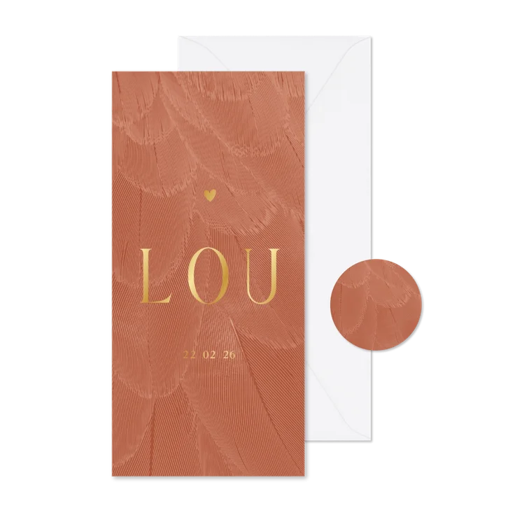 Geboortekaartje langwerpig stijlvol terra met veren