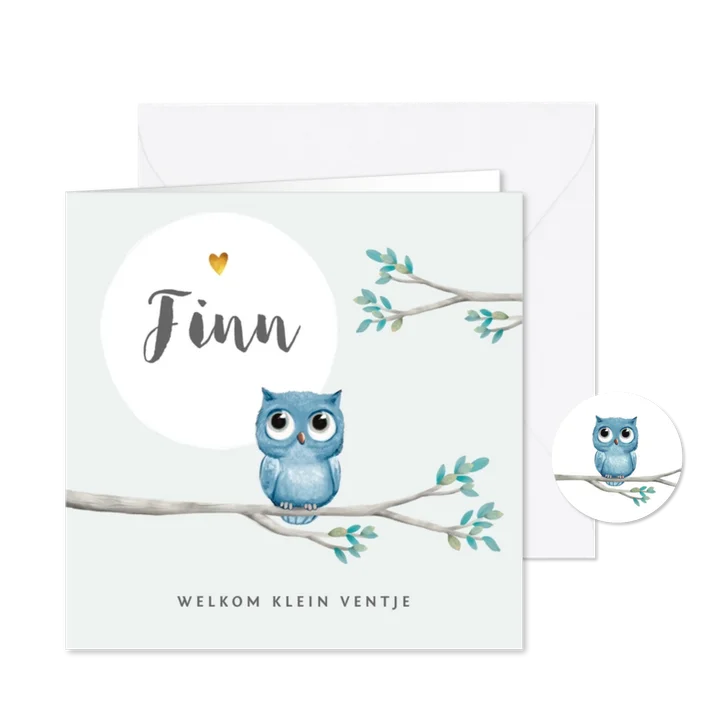 Geboortekaartje lief jongen met geïllustreerd uiltje