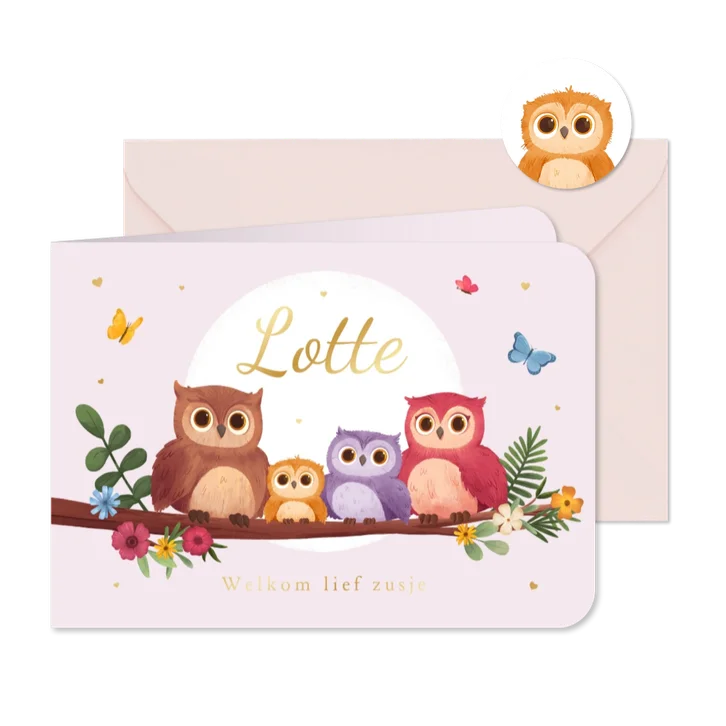 Geboortekaartje lief uiltjes zusje familie boom vlinders