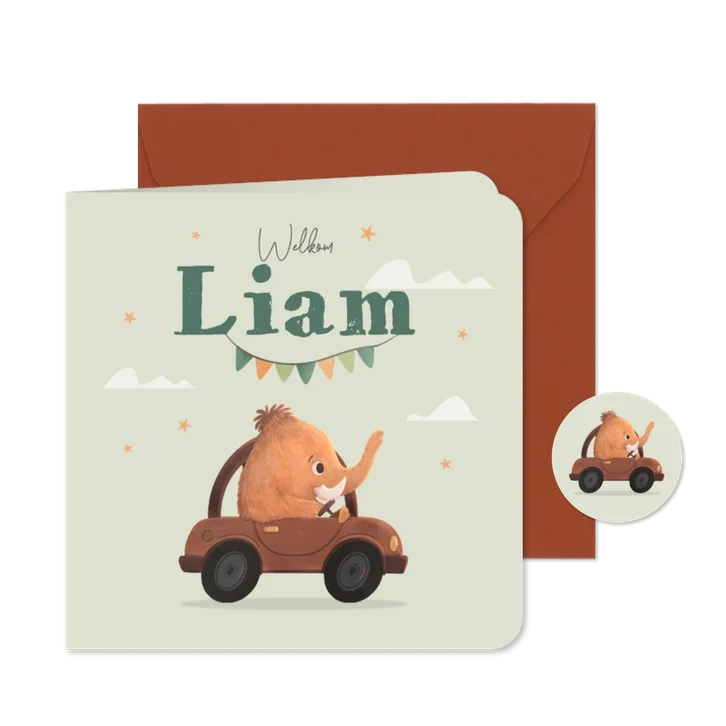 Geboortekaartje mammoet auto stoer lief slinger wolken ster