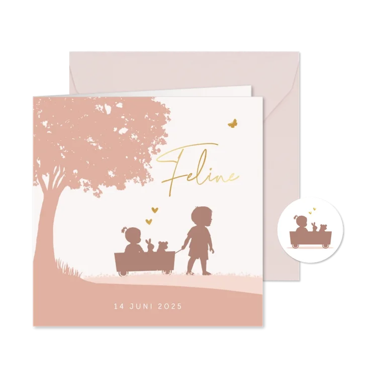 Geboortekaartje meisje in kar met broertje