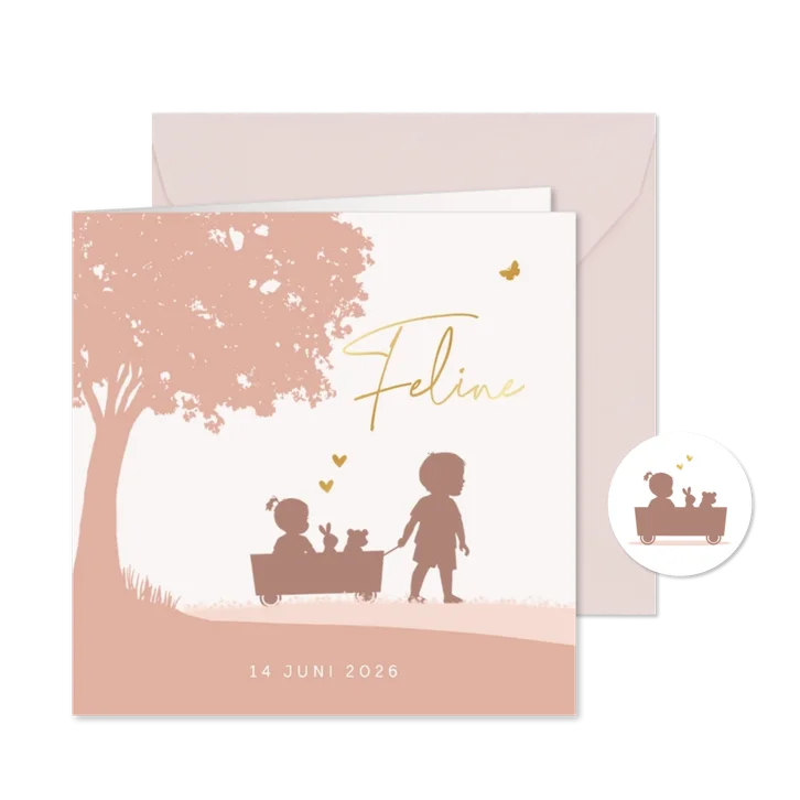 Geboortekaartje meisje in kar met broertje