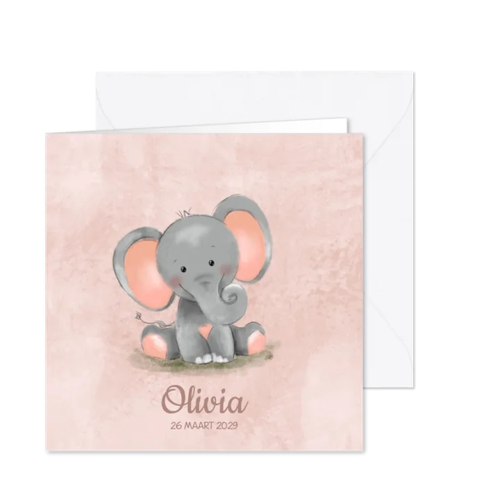 Geboortekaartje meisje roze met lief olifantje