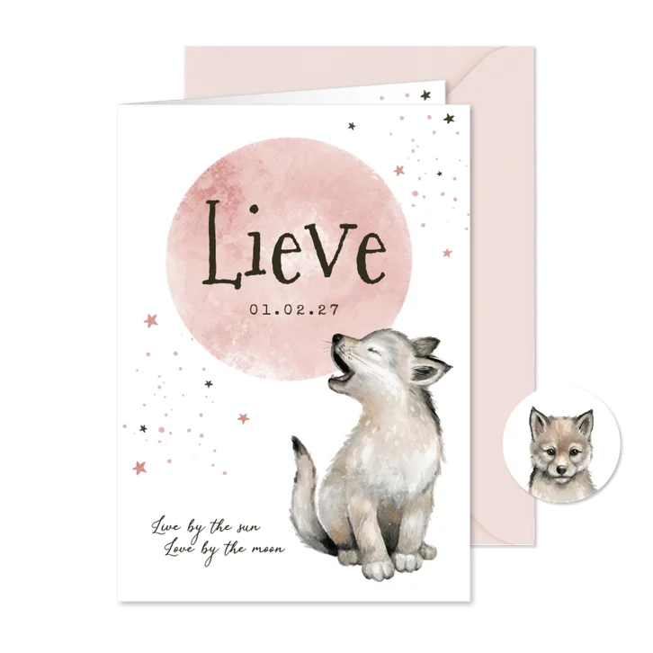 Geboortekaartje meisje wolfje sterretjes maan waterverf