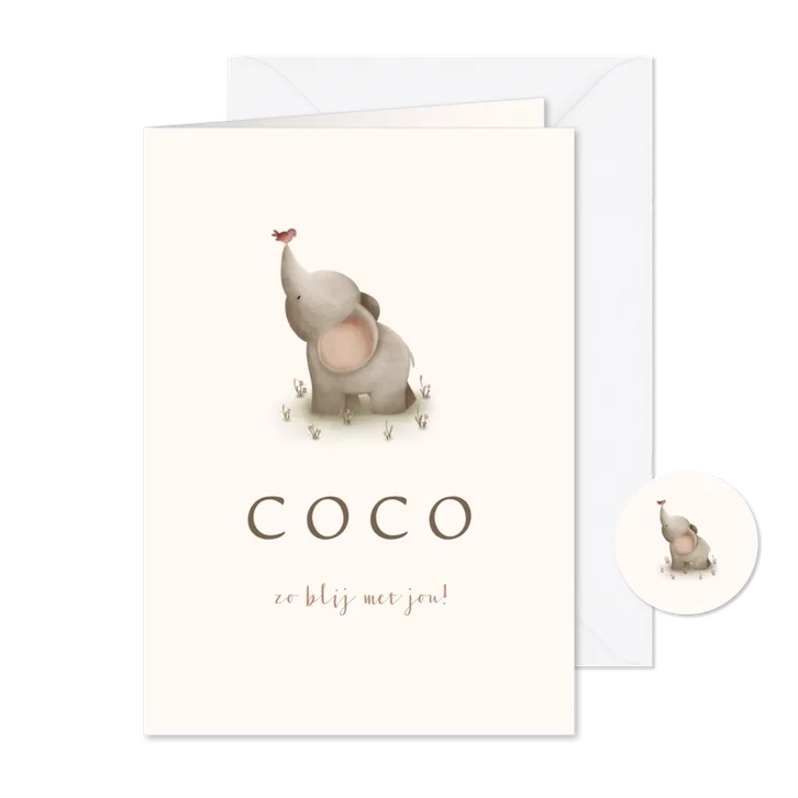 Geboortekaartje met een lief olifantje en roze vogel
