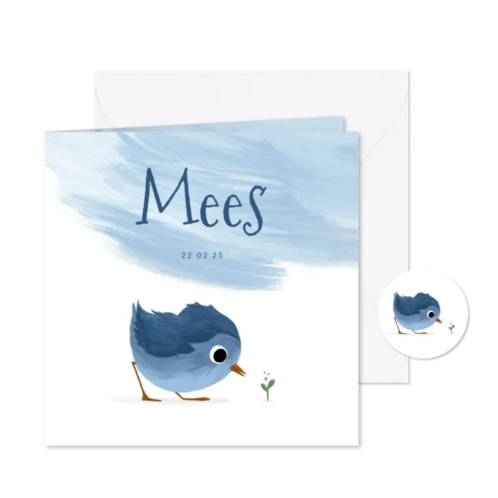 Geboortekaartje met lief vogeltje en verfstreep