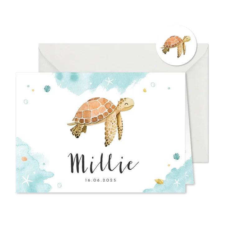 Geboortekaartje onderwater schelpjes dieren schildpad lief