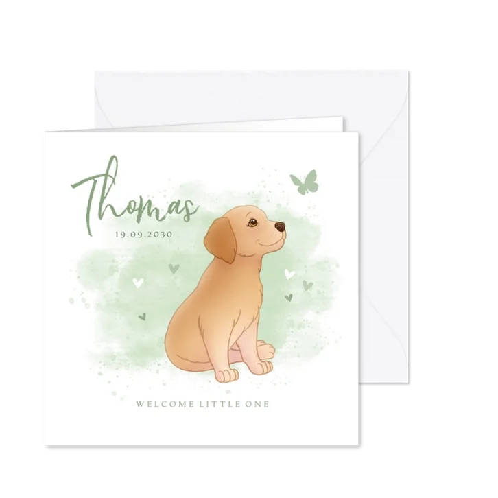 Geboortekaartje puppy groene achtegrond met hartjes vlinder