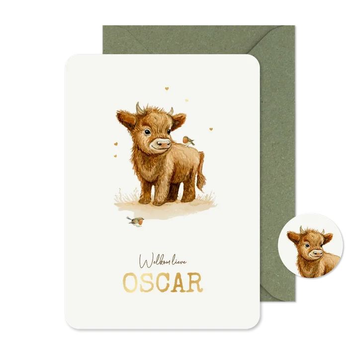 Geboortekaartje schotse hooglander jongen waterverf vogels