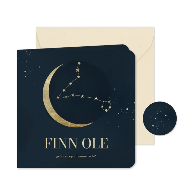 Geboortekaartje sterrenbeeld blauw vissen met maan sterren