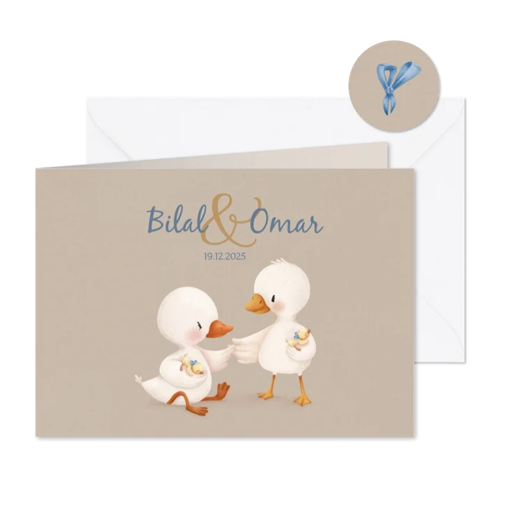 Geboortekaartje tweeling jongens eendjes illustratie