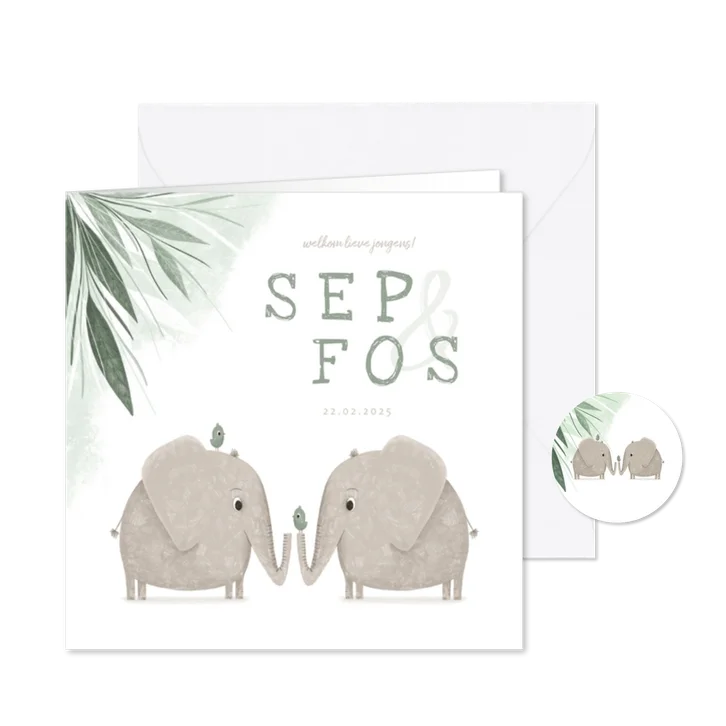 Geboortekaartje tweeling jongens met olifantjes en vogels