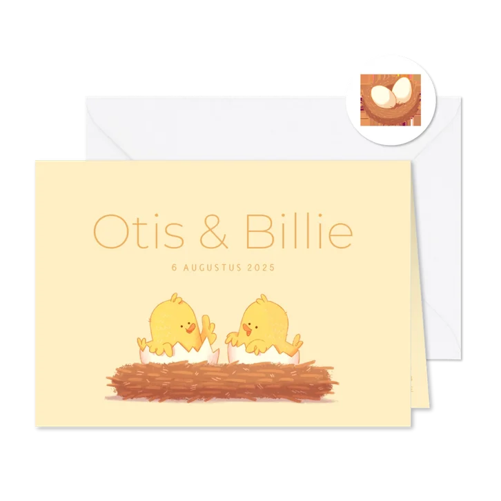 Geboortekaartje tweeling kuikentjes aanpasbare achtergrond