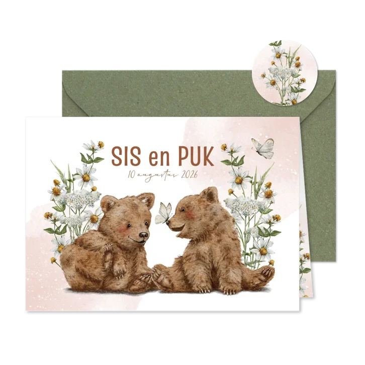 Geboortekaartje tweeling meisjes met beertjes en vlinders