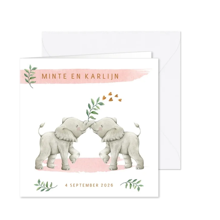 Geboortekaartje tweeling meisjes met lieve olifantjes