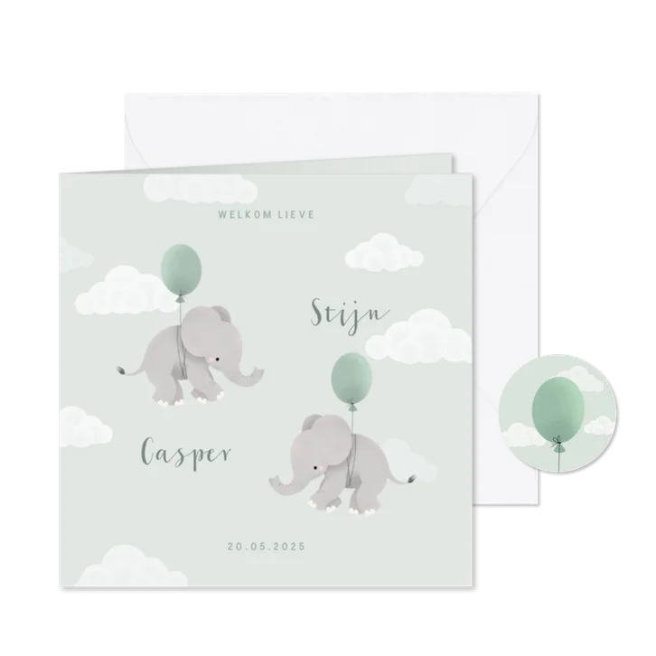 Geboortekaartje tweeling met olifantjes en ballonnen