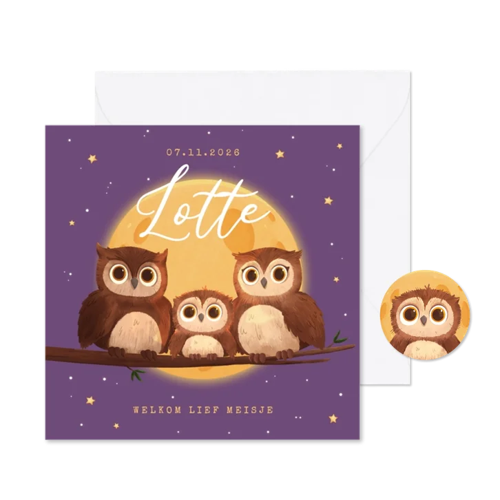 Geboortekaartje uiltje maan winter sterren schattig gezin