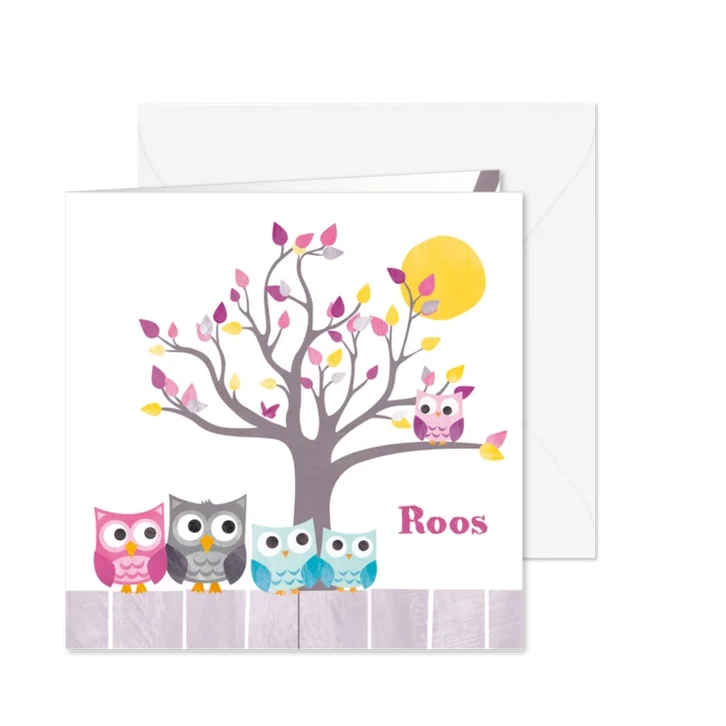 Geboortekaartje uiltje twee broertjes