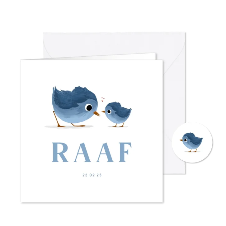 Geboortekaartje voor een broertje met lieve vogeltjes