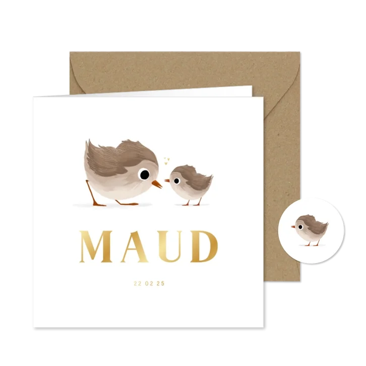 Geboortekaartje voor een broertje of zusje met vogeltjes 