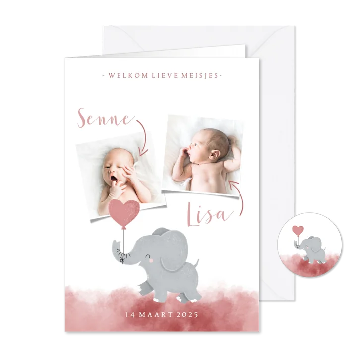 Geboortekaartje voor een tweeling met olifantje met ballon