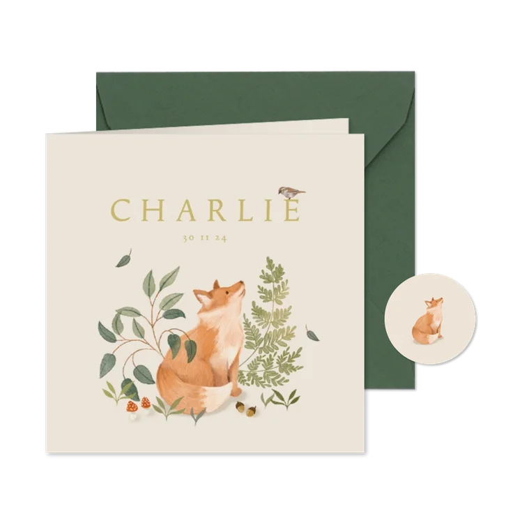 Geboortekaartje zoon met vosje, musje en paddenstoeltjes