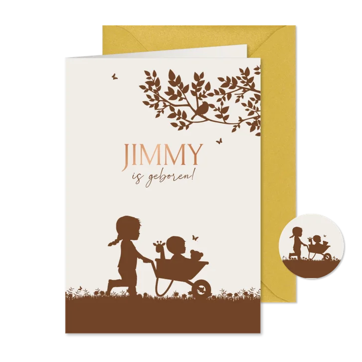 Geboortekaartje zusje met baby broertje in kruiwagen