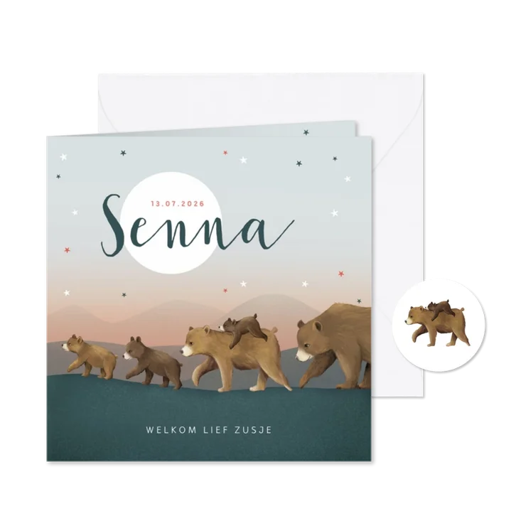 Geboortekaartje zusje sterren beren familie groot gezin