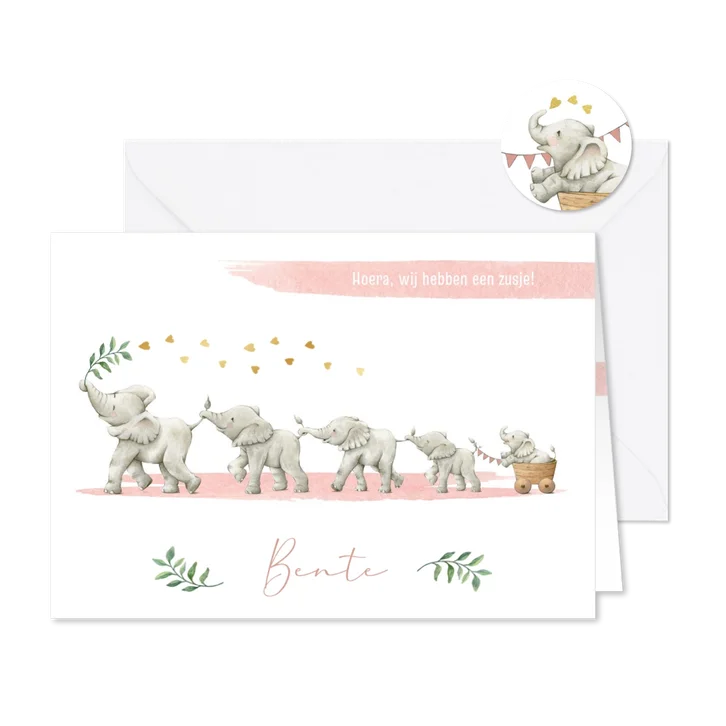 Geboortekaartje zusje vijf olifantjes op een rij