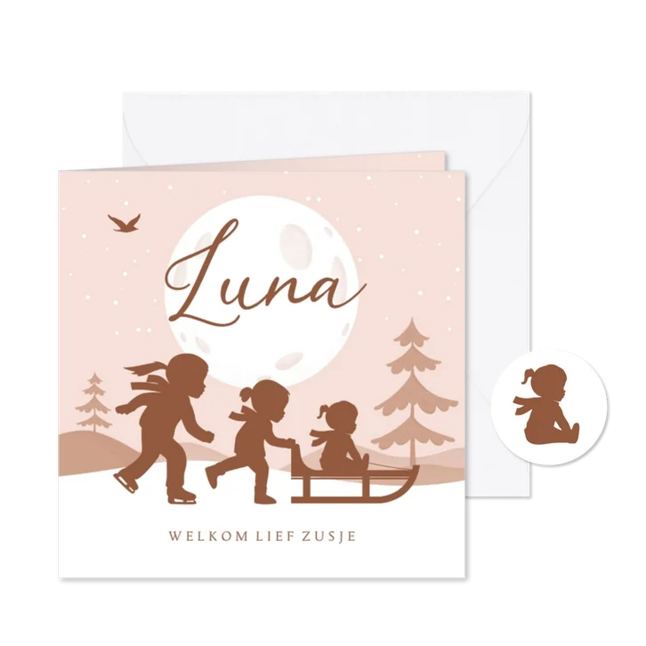 Geboortekaartje zusje winter slee sneeuw silhouetjes