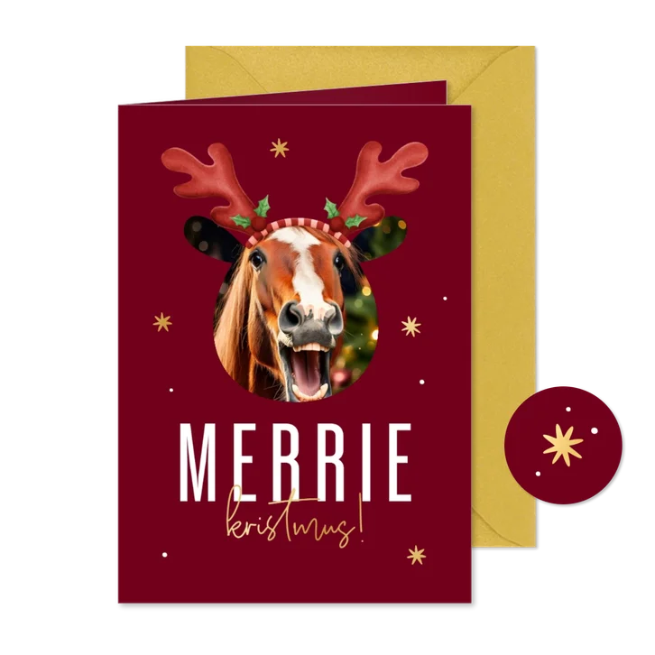 Grappige foto kerstkaart 'Merrie kristmus!' gouden sterren