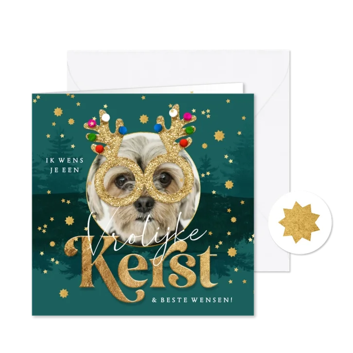 Grappige kerstkaart foto glitterbril rendier sterren goud