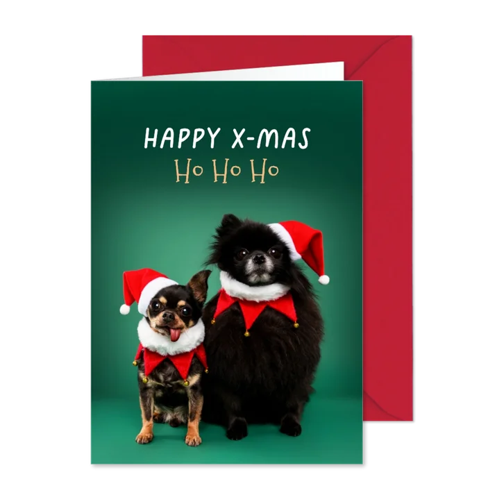 Grappige kerstkaart van hondjes met kerstmuts op