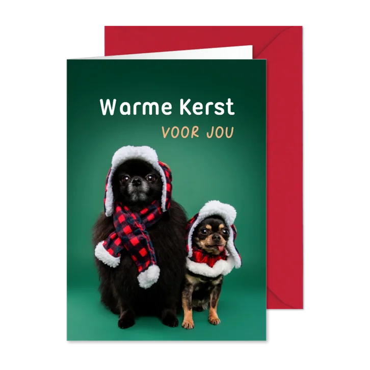 Grappige kerstkaart van hondjes met warme kerstkleding
