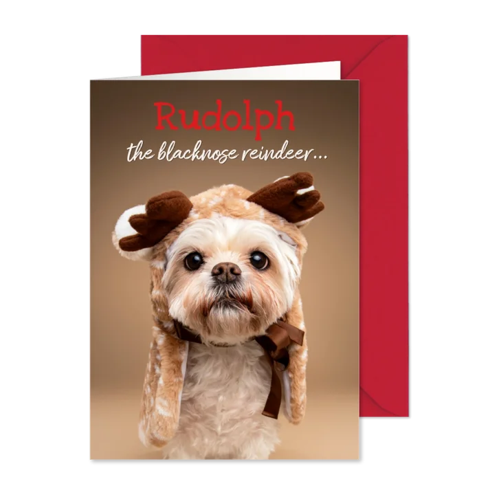 Grappige kerstkaart van wit boomer hondje met rendier pakje
