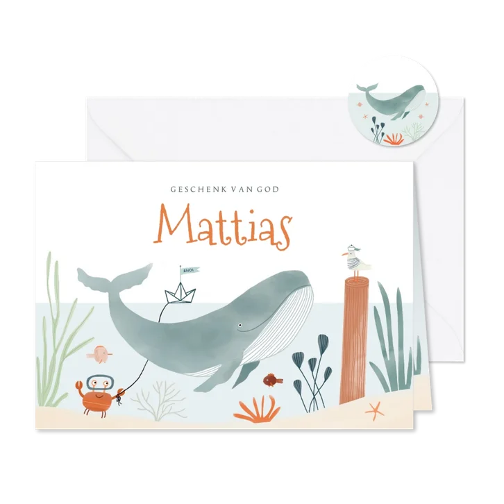 Hip geboortekaartje onderwater walvis dieren illustratie