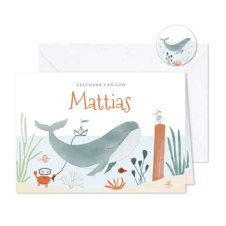 Hip geboortekaartje onderwater walvis dieren illustratie