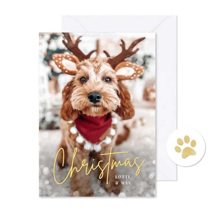 Hippe kerstkaart met eigen dieren foto en christmas