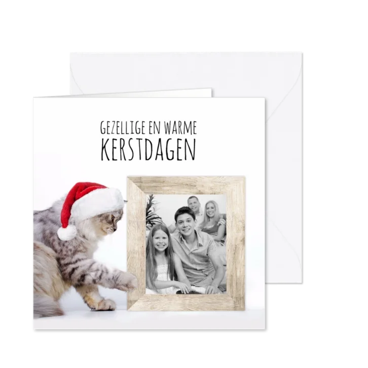 Kat, kerstmuts en fotolijst-isf