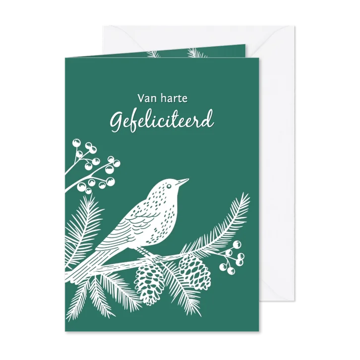 Kerst- verjaardagskaart merel op dennentak