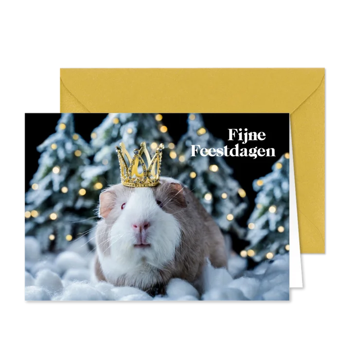 Kerstkaart cavia met kroontje